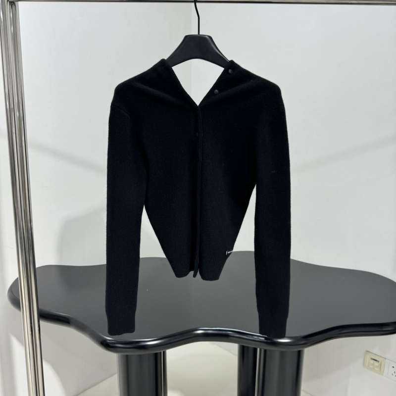 A1exa*der wang sweater